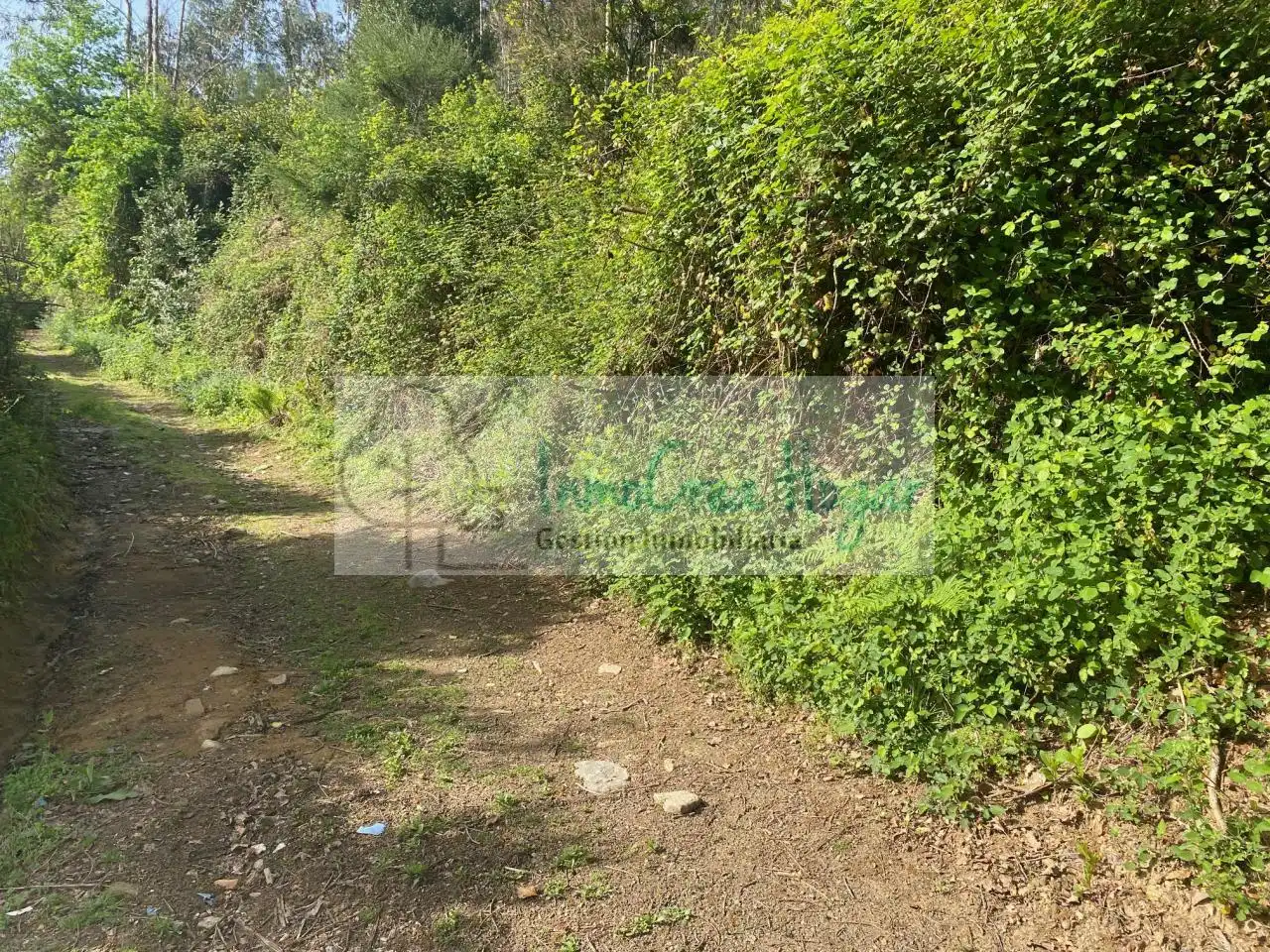 Terreny rústic en venda a Salvaterra de Miño, imagen 20