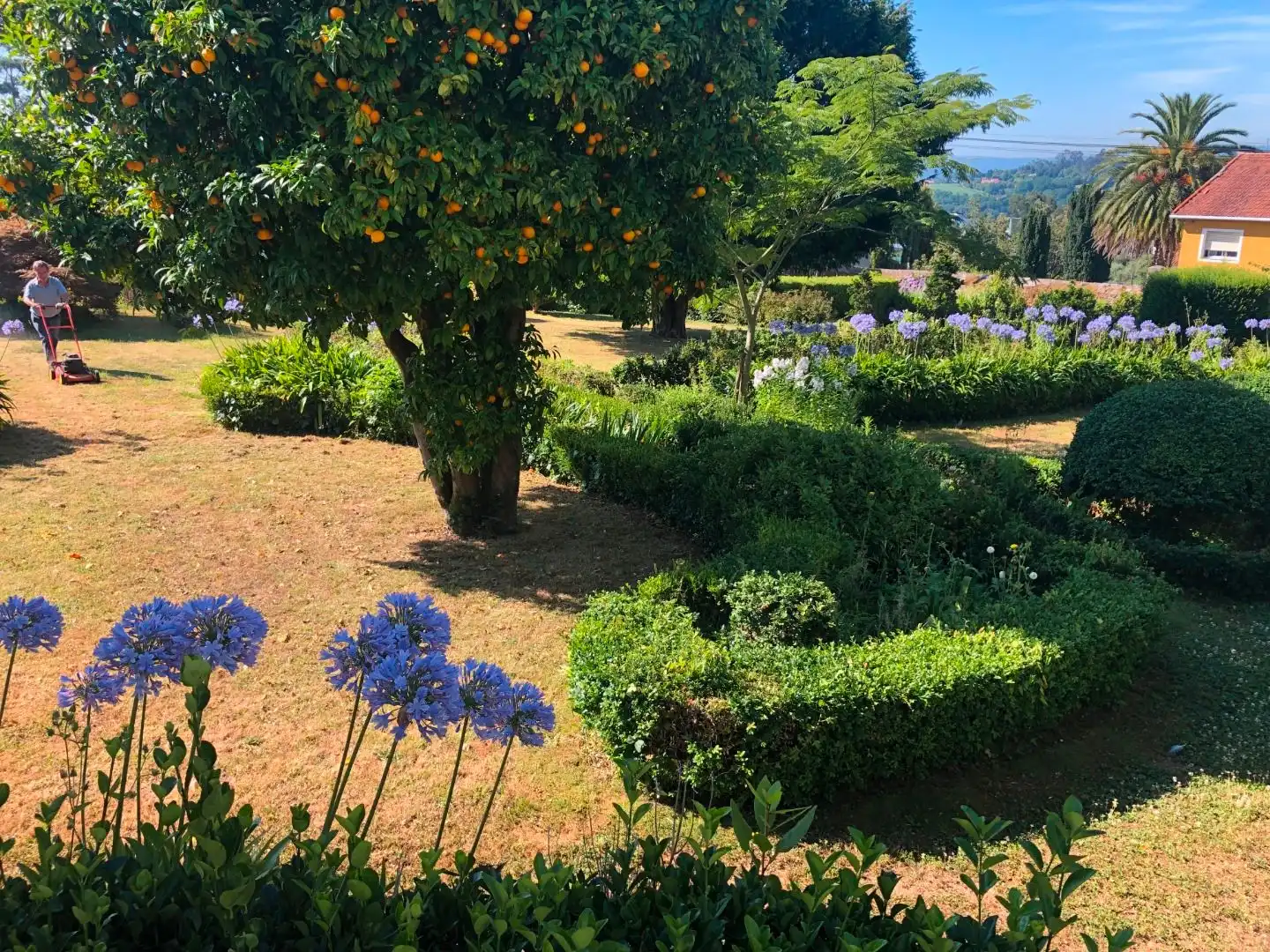 Garten von Haus oder Chalet zum Verkauf in Oleiros mit Privatgarten, Parkett und Terrasse