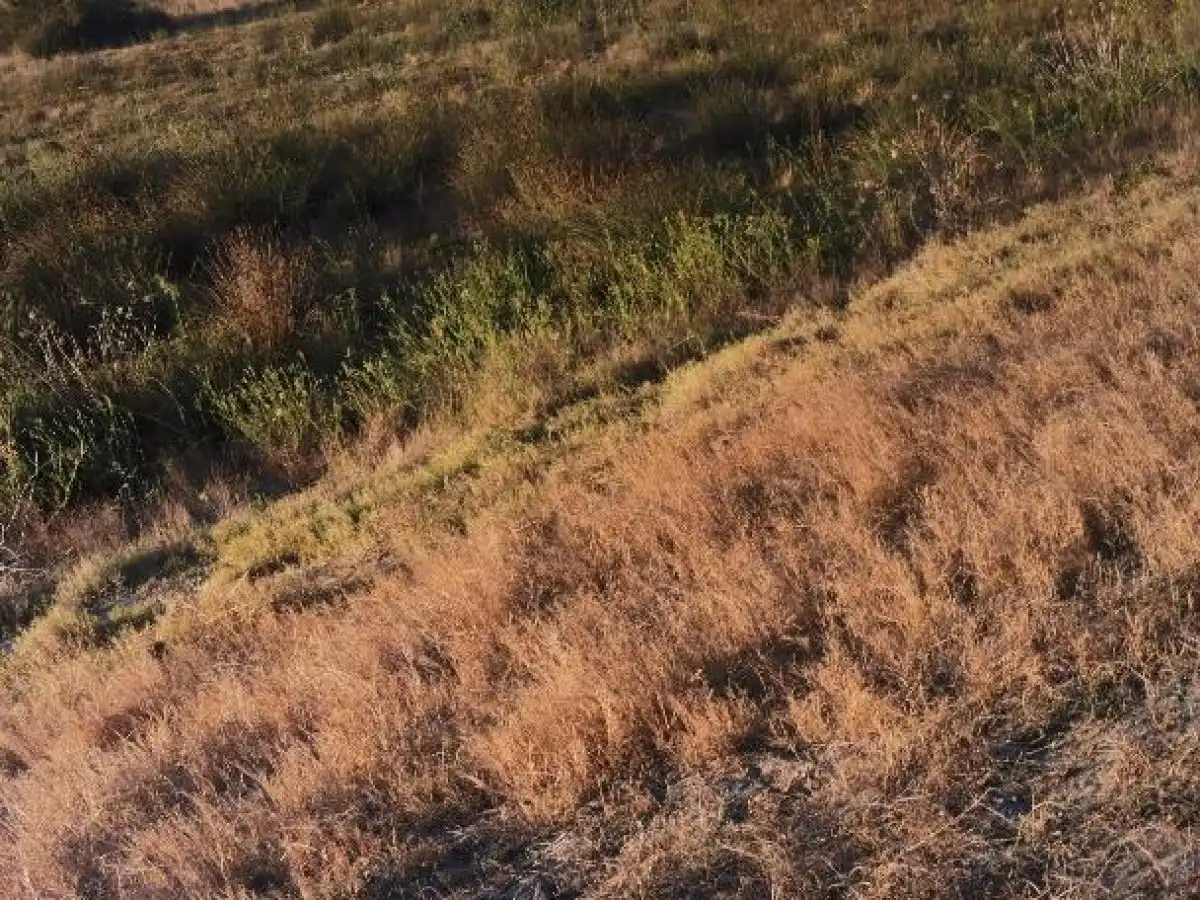 Terreno rustico in vendita a Camino LOS HUERTOS, imagen 20