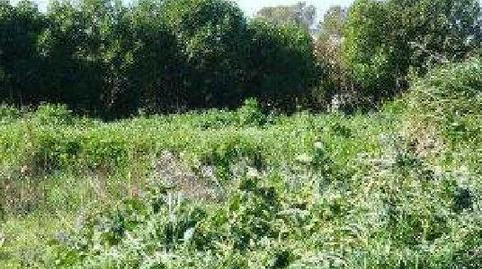 Photo 2 of Land for sale in Pago Atalaya, Pol. , Ctra Jerez - Ctra del Puerto, Sanlúcar de Barrameda