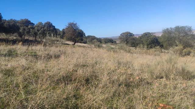Terreno en Venta en Ballesteros de Calatrava