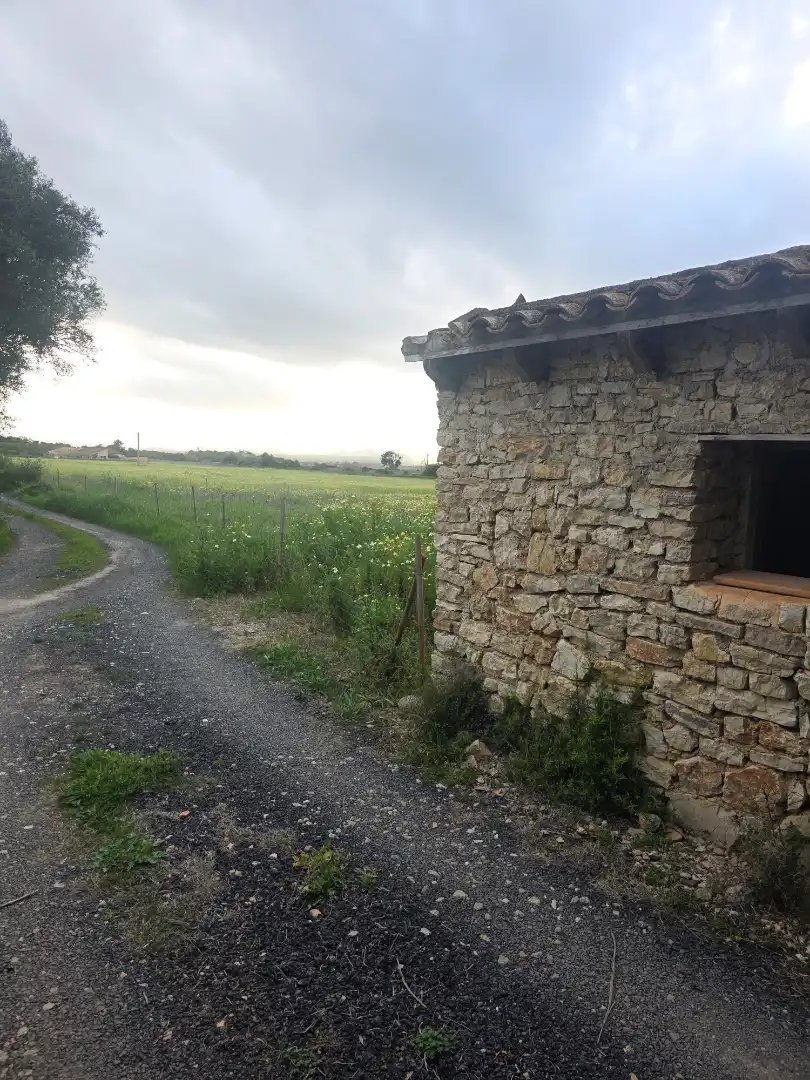 Rural land for sale in Felanitx Poble, imagen 3