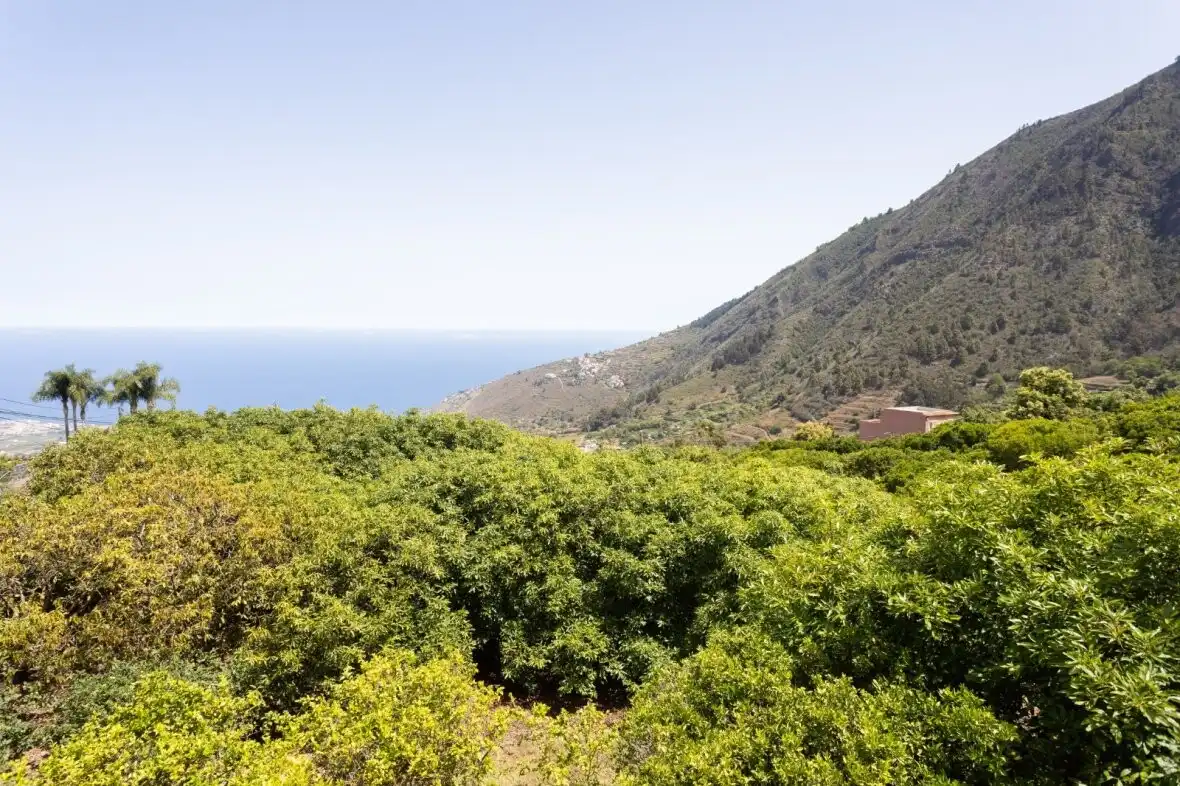Finca rústica en venda en La Orotava amb Terrassa