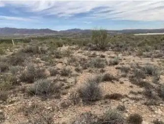 Terreny rústic en venda a Uleila del Campo, imagen 3