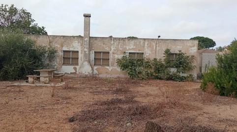 Foto 2 de Finca rústica en venda a Los Franceses – La Vega, Cádiz