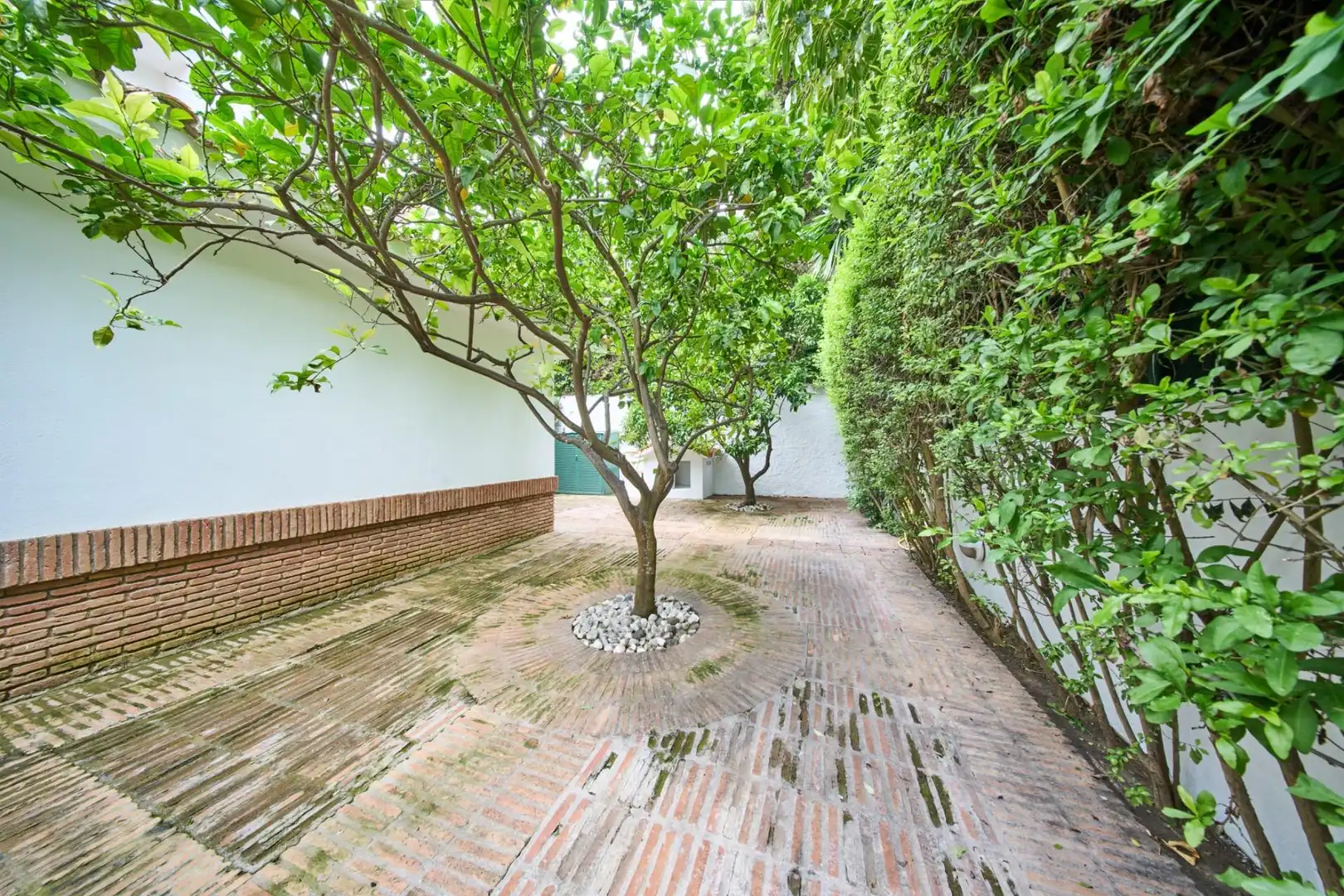 Jardín de Casa o chalet en venta en Marbella con Aire acondicionado, Calefacción y Jardín privado