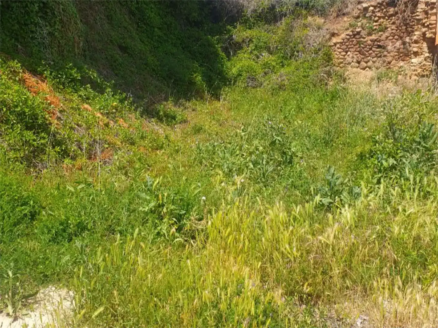 Land for sale in Ocón