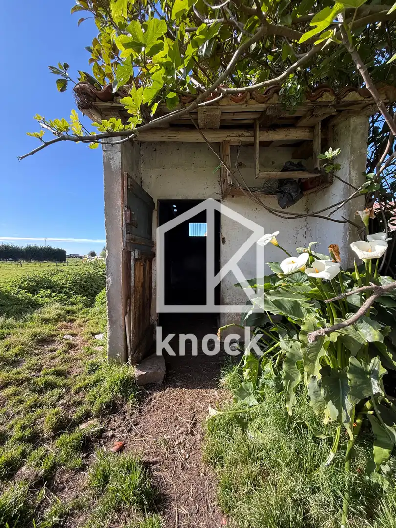 Terreno rustico in vendita a Oles - La cerca, imagen 12