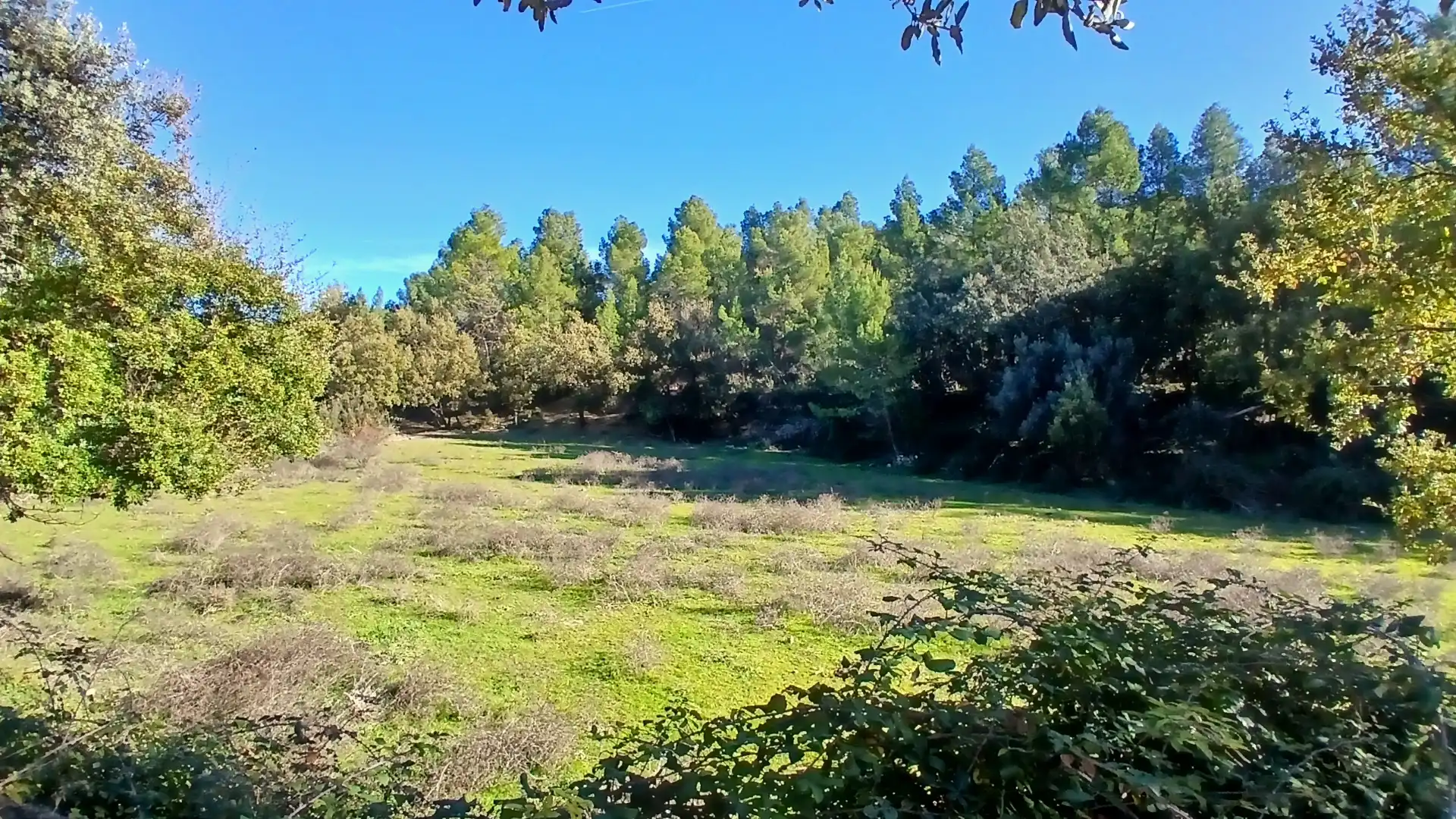 Terreno rustico in vendita a Calle Tremedal 13, imagen 2