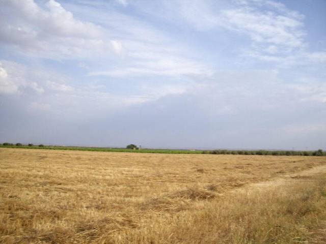 Terreno en Venta en Arreburra en Socuéllamos