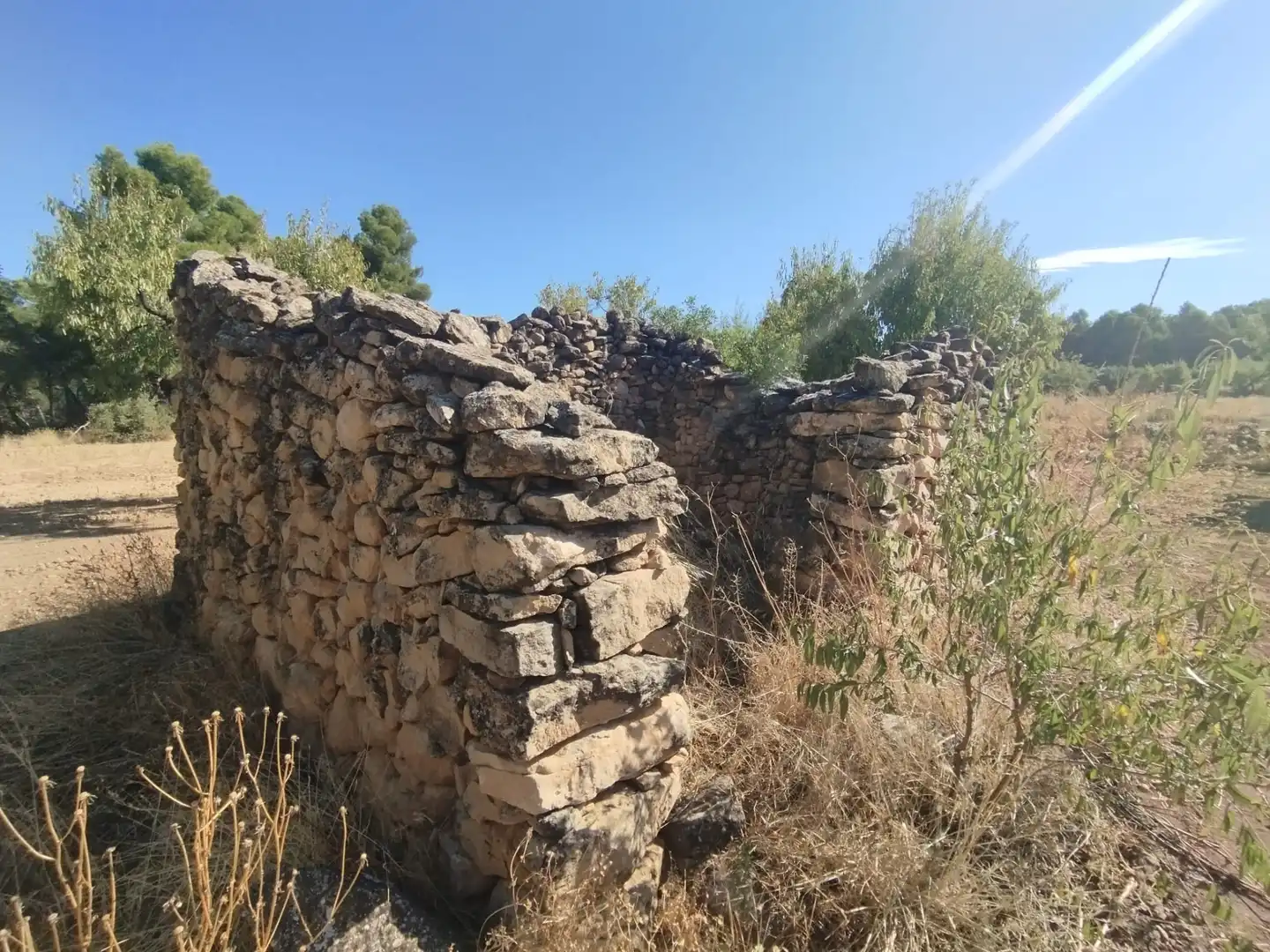 Terreni e lotti in vendita a Valderrobres, imagen 8