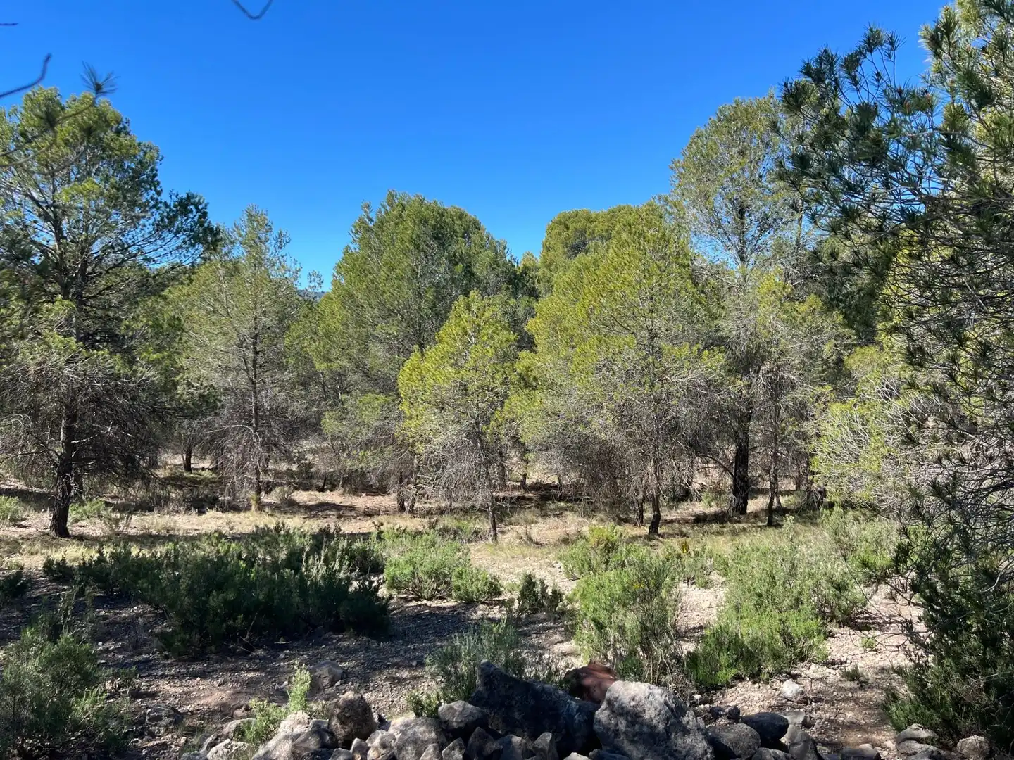 Country homes for sale in Castalla