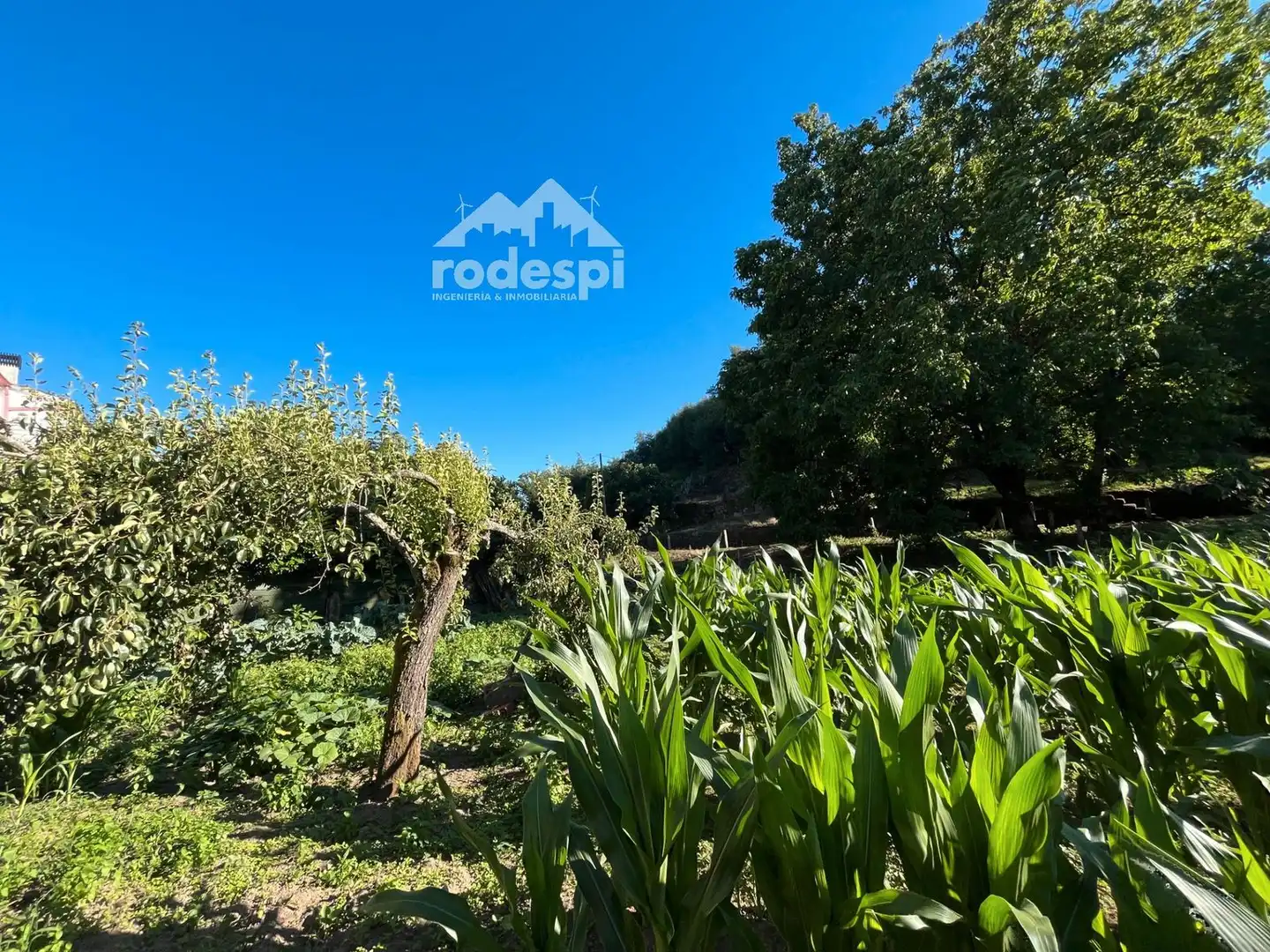 Adossat en venda a Leiro, imagen 6
