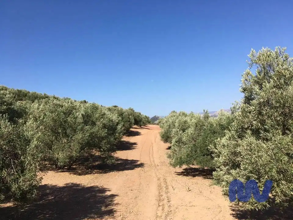 Terrenys i solars en venda a Partido Vega Baja, Valle de Abdalagís, imagen 5