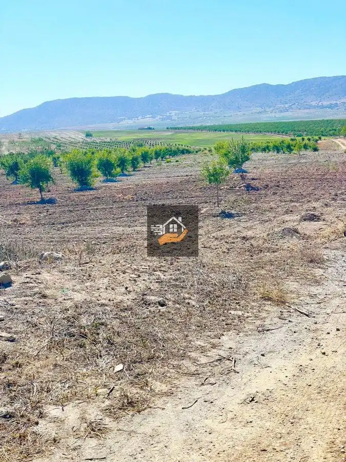 Finca rústica en venda en Chirivel
