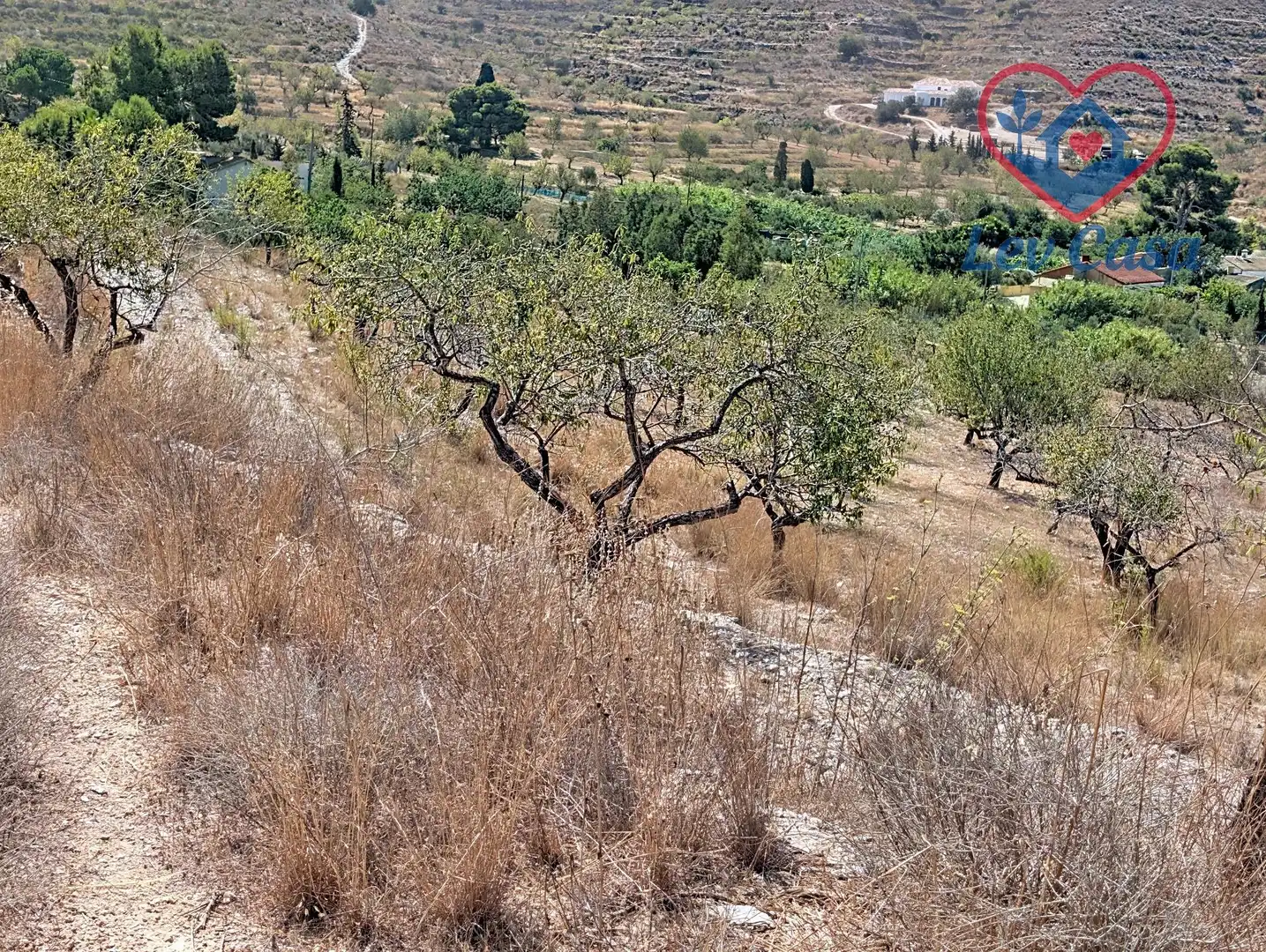Terreno rustico in vendita a Playa del Galán, imagen 38