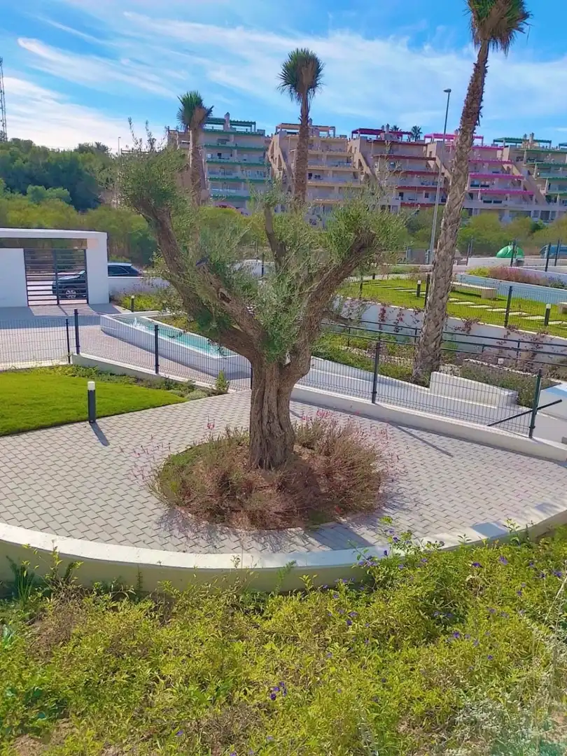 Apartamento con piscina en venta en Orihuela Costa, imagen 15