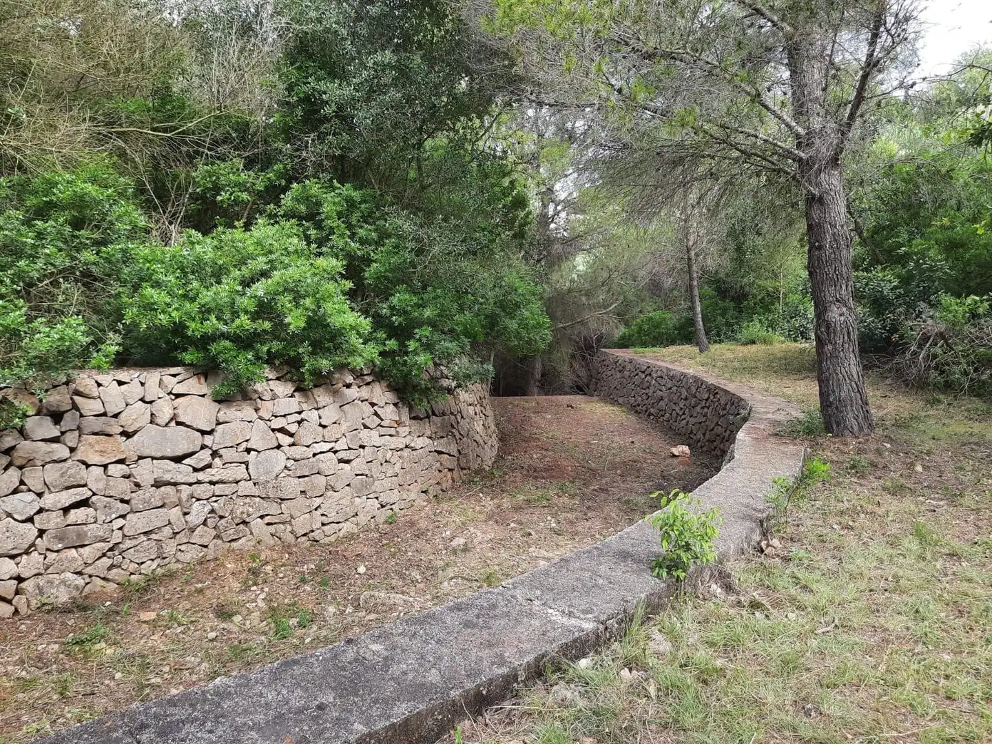 Terreny residencial en venda a El Montgó, imagen 14