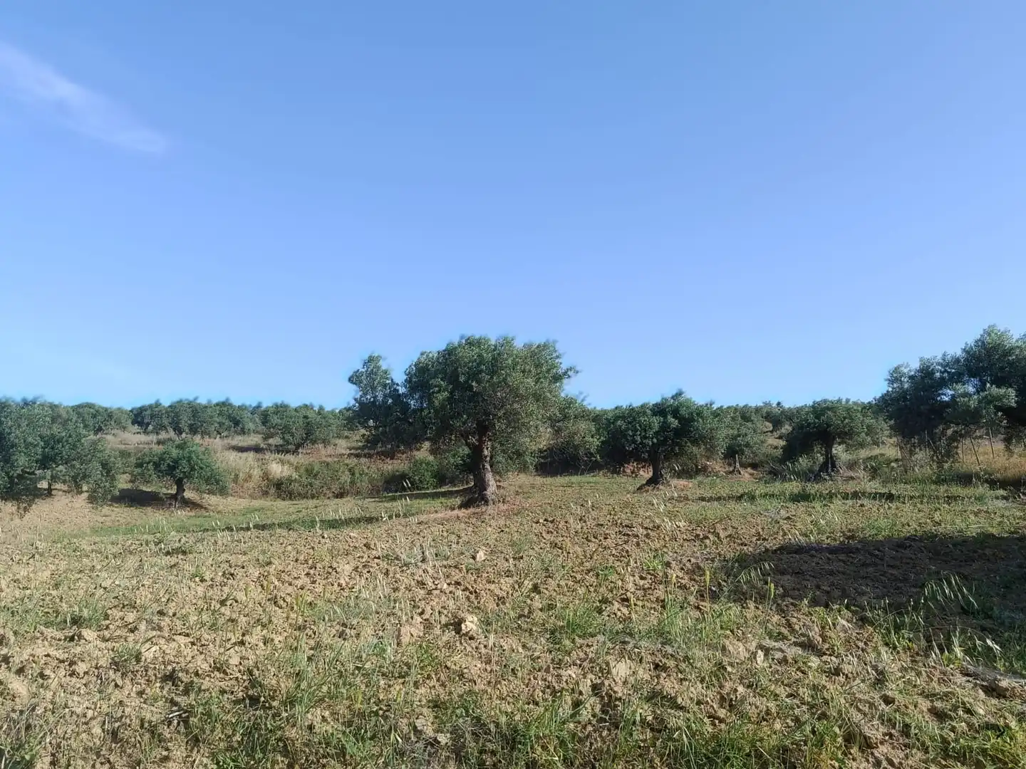 Terreni e lotti in vendita a Alquería - Torrealquería, imagen 6