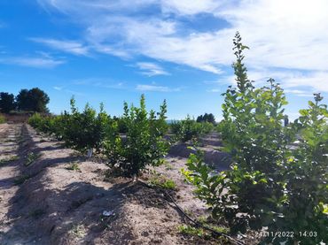 Terreno residenziale in vendita a El Llano