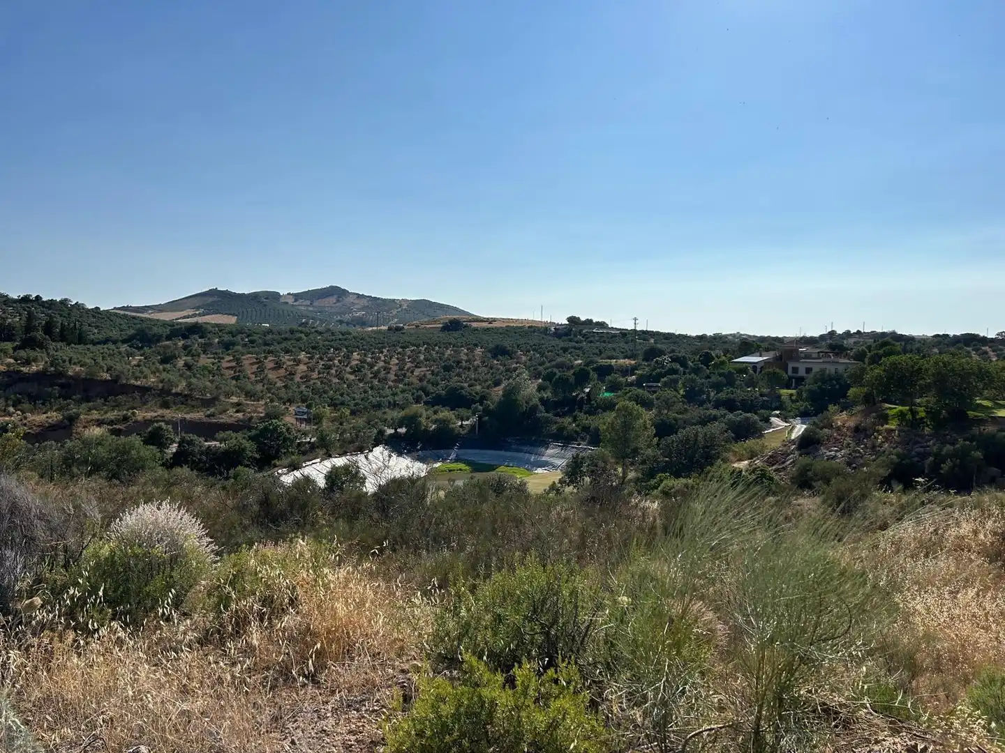 Lands and plots for sale in Centro, imagen 12