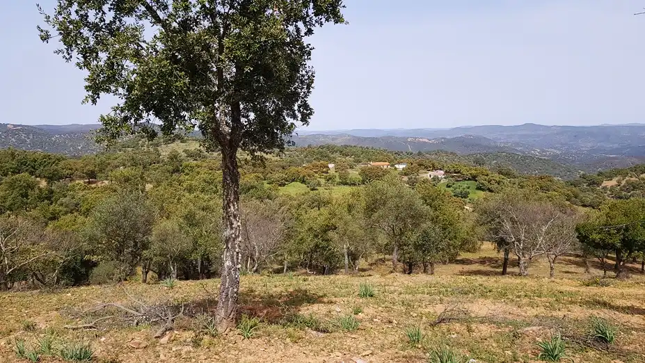 Terrenos y solares en venta en Extramuros Diseminados 5, imagen 64