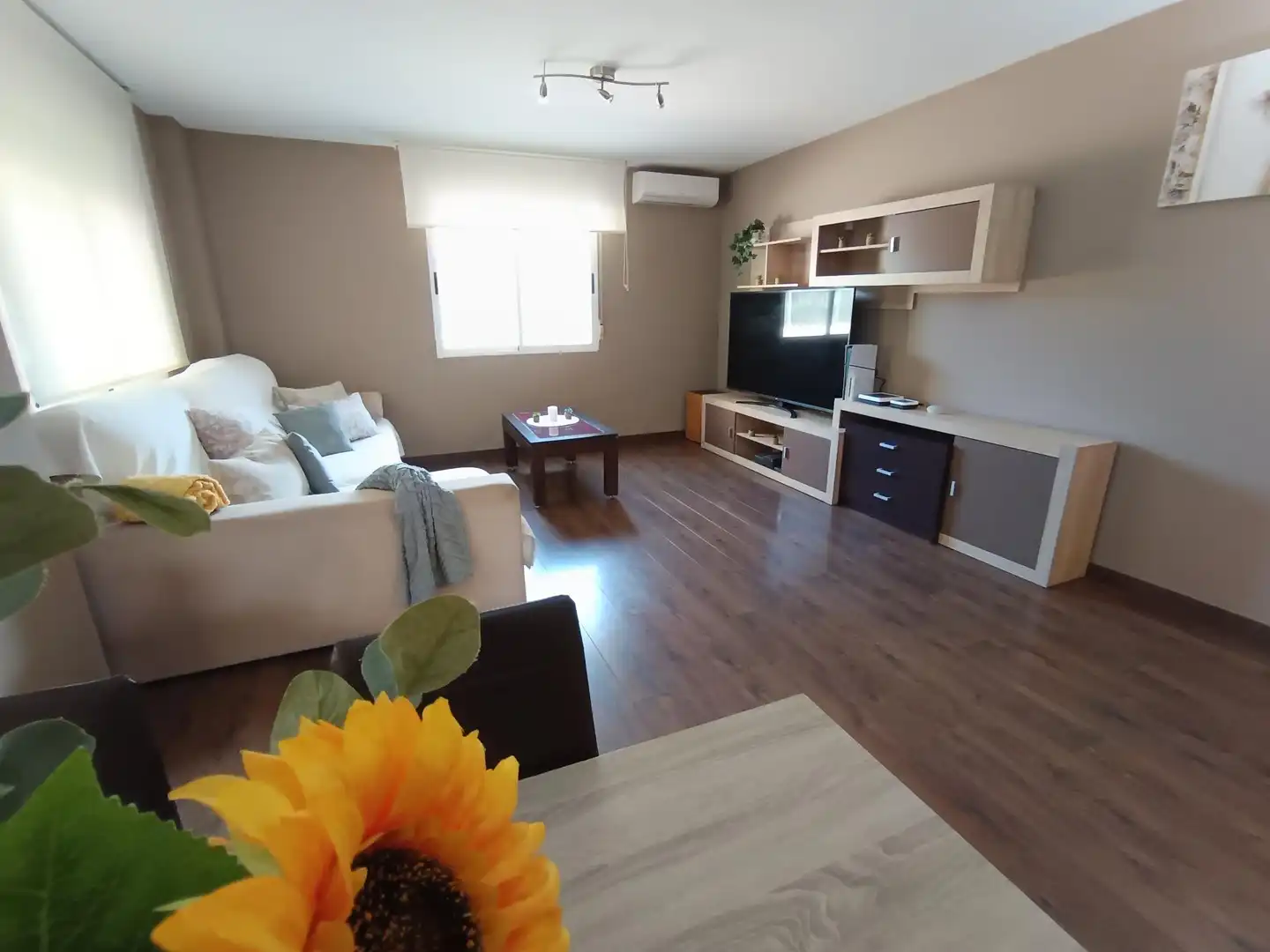 Sala d'estar de Planta baixa en venda en Molina de Segura amb Aire condicionat, Calefacció i Jardí privat