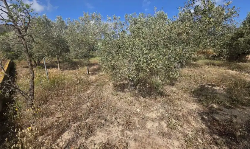 Casa o chalet en venta en Sorbas con Aire acondicionado, Jardín privado y Terraza