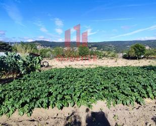 Finca rústica en venda en San Cibrao das Viñas