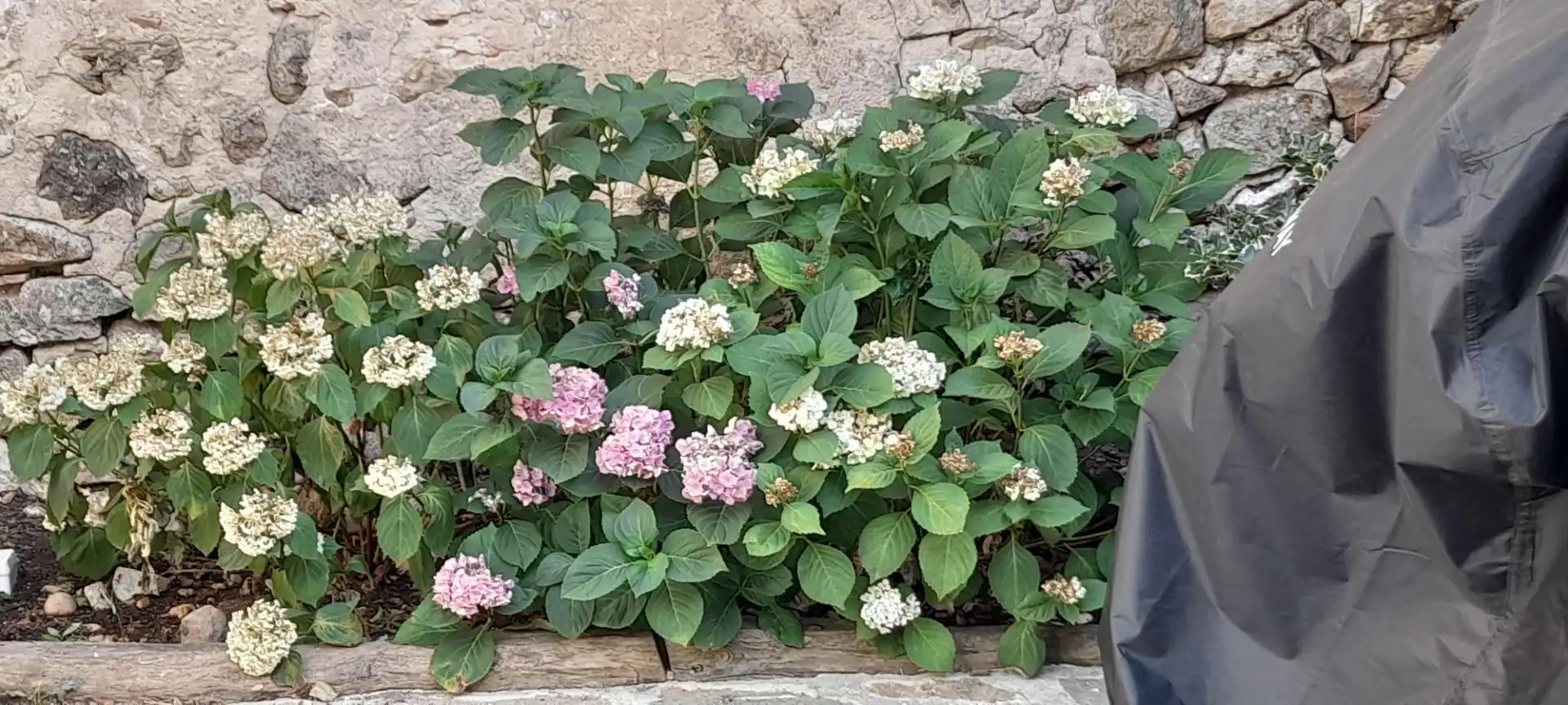 Jardí de Finca rústica en venda en Turégano amb Calefacció, Jardí privat i Terrassa
