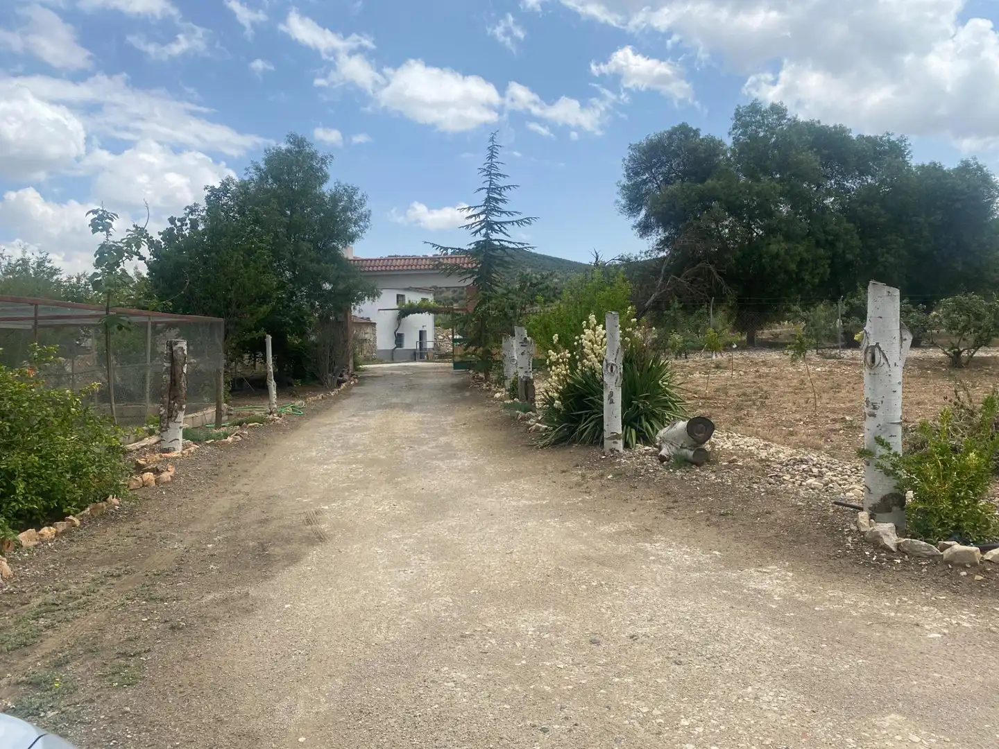 Casa rustica con piscina in vendita a Carretera Alcala km 12, imagen 2