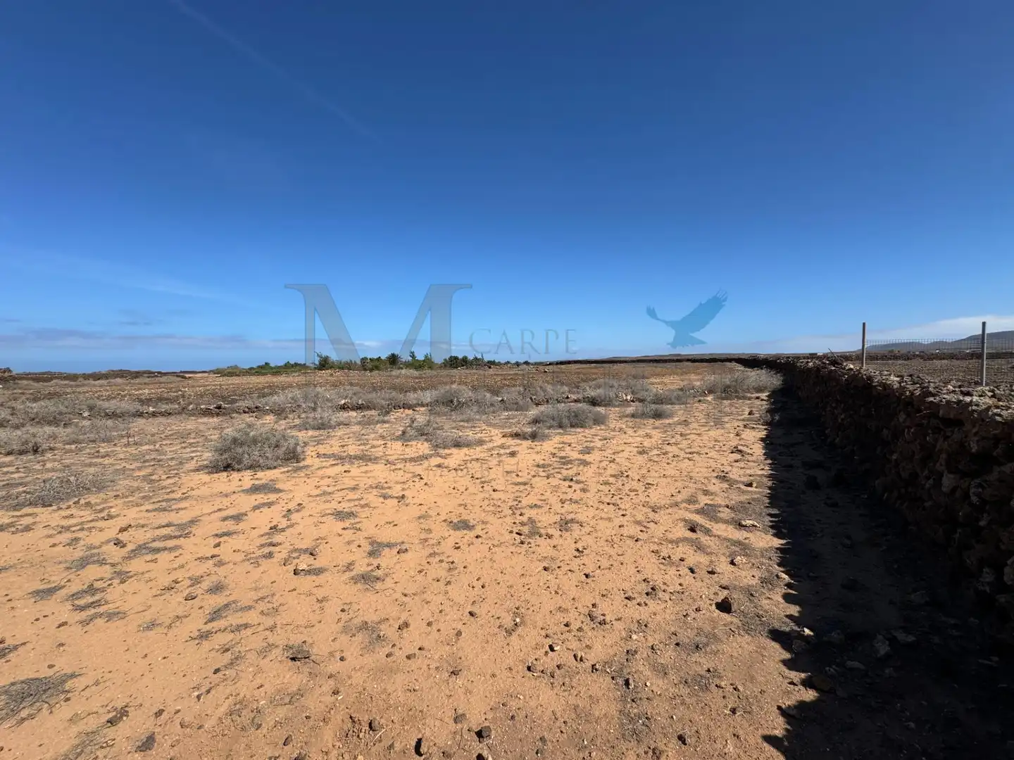 Land for sale in La Oliva