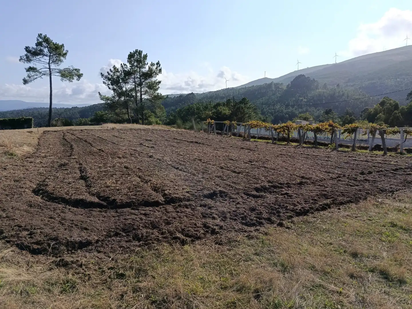 Wohnbaugrundstück zum Verkauf in Caldas de Reis