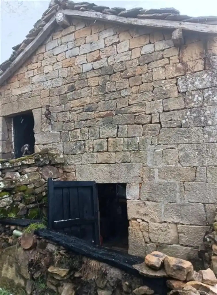 Exterior view of Houses for sale in Luena , Cantabria