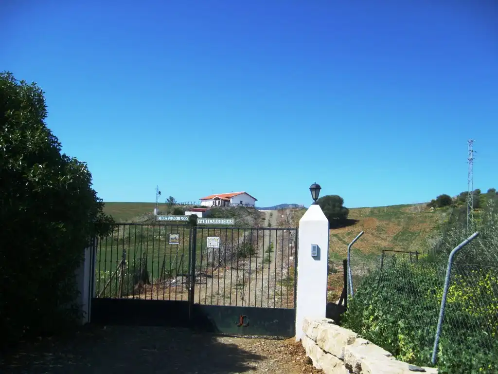 Vista exterior de Finca rústica en venta en Antequera con Jardín privado y Amueblado