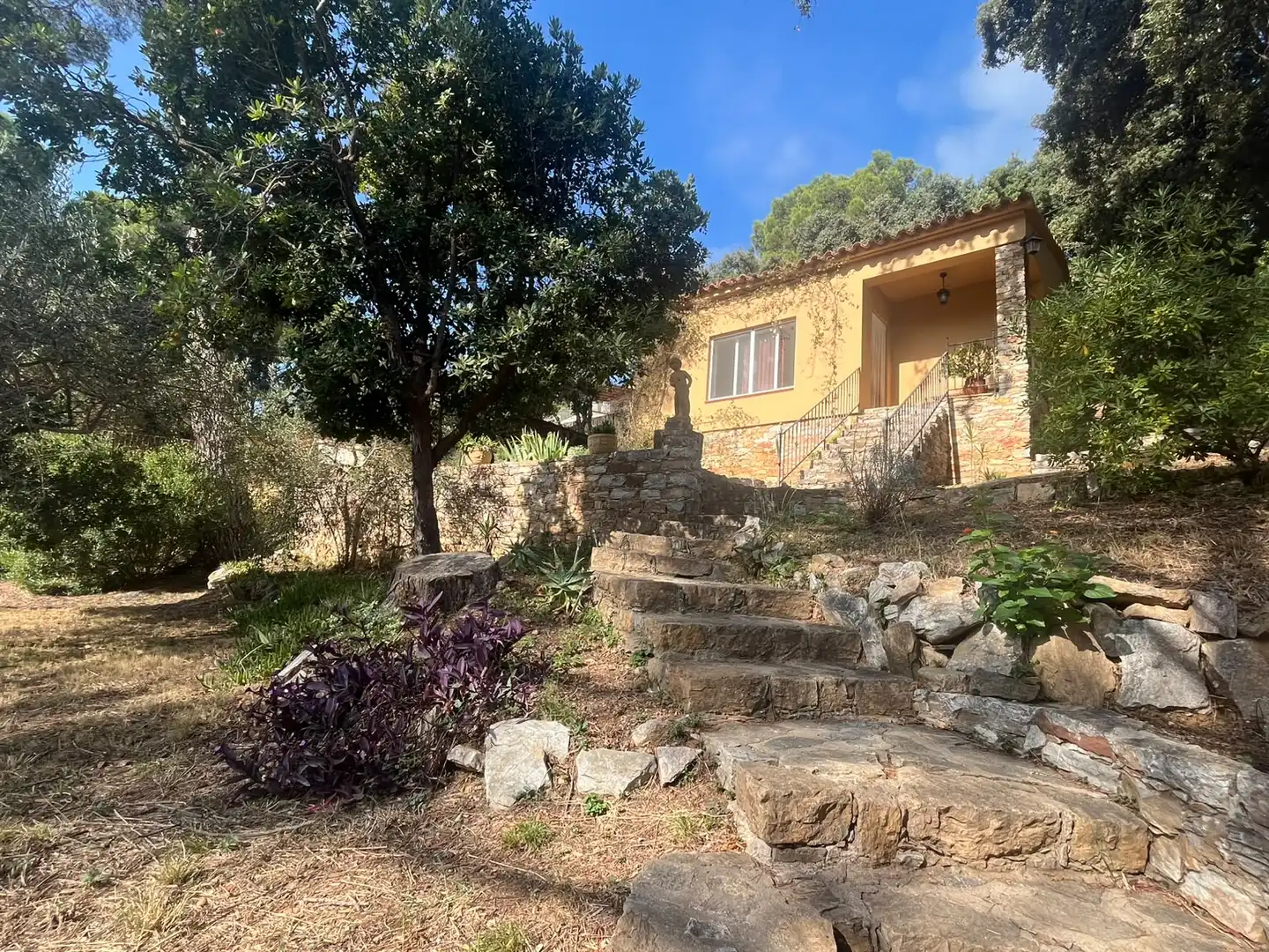 Casa amb jardí en venda a Carrer Mas Mató 26