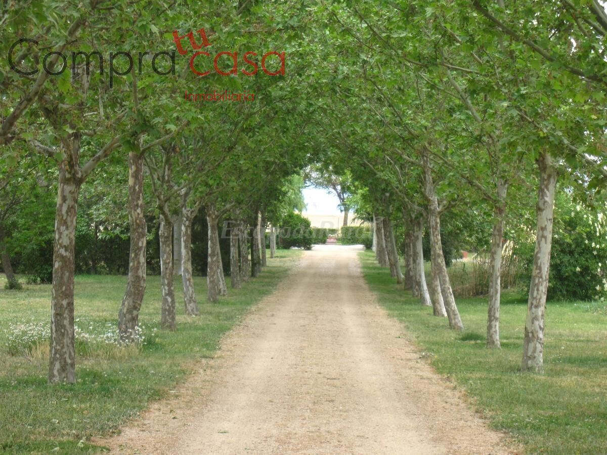 Exterior view of House or chalet for sale in Valverde del Majano  with Heating, Private garden and Terrace