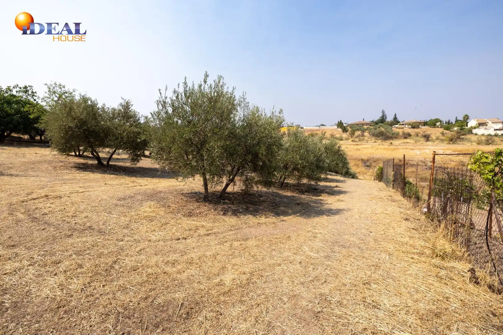 Finca rústica en venta en Moraleda de Zafayona