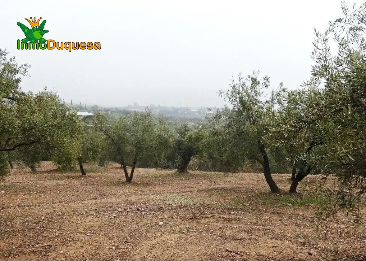 Casa rustica in vendita a Peligros, imagen 18