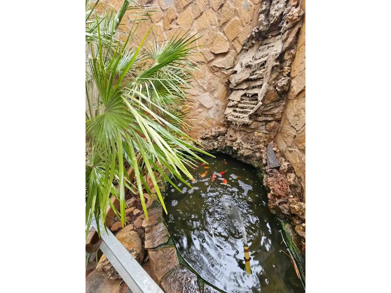 Jardí de Casa o xalet en venda en Alicante / Alacant amb Aire condicionat, Calefacció i Jardí privat
