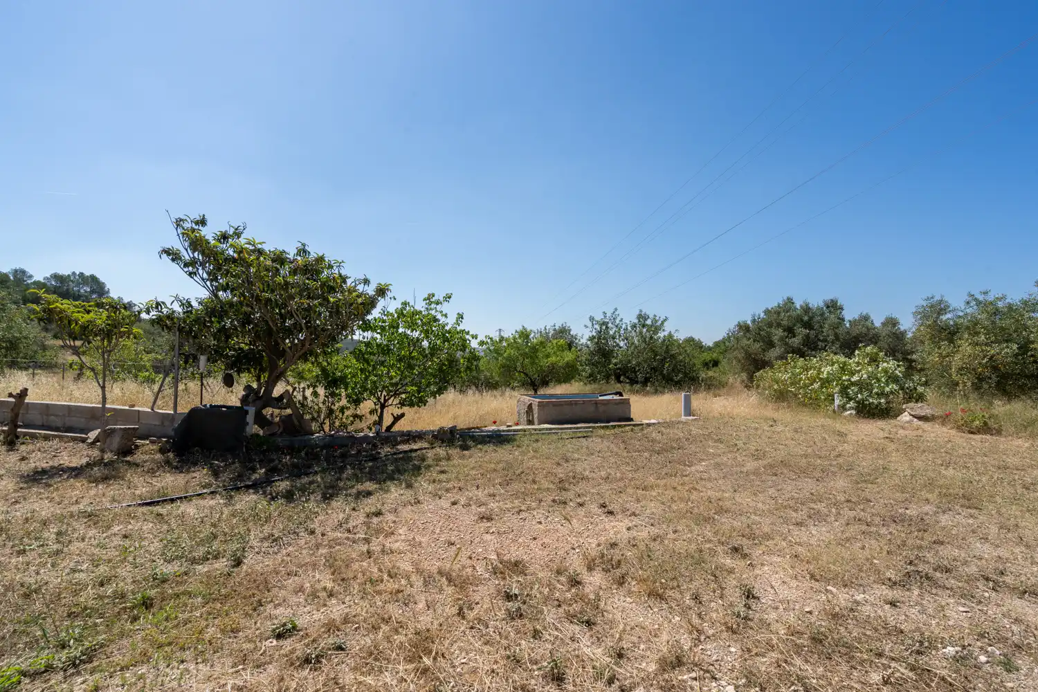 Terrain rustique à vendre à Camí de l'ardiaca 106, imagen 27