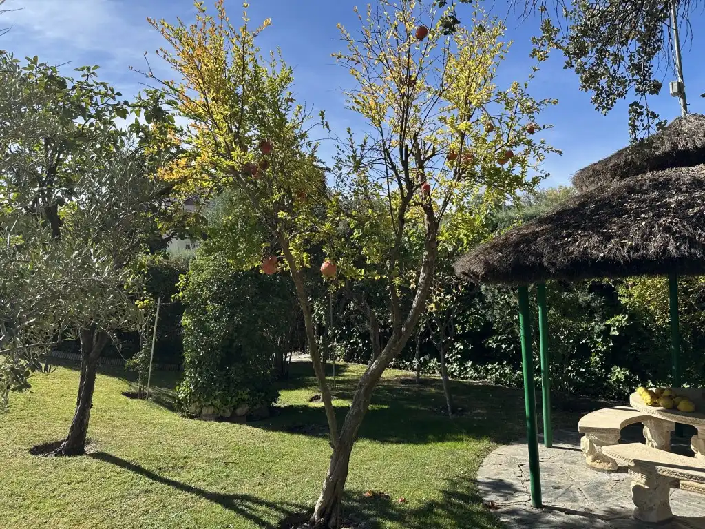 Jardín de Casa o chalet en venta en Algete