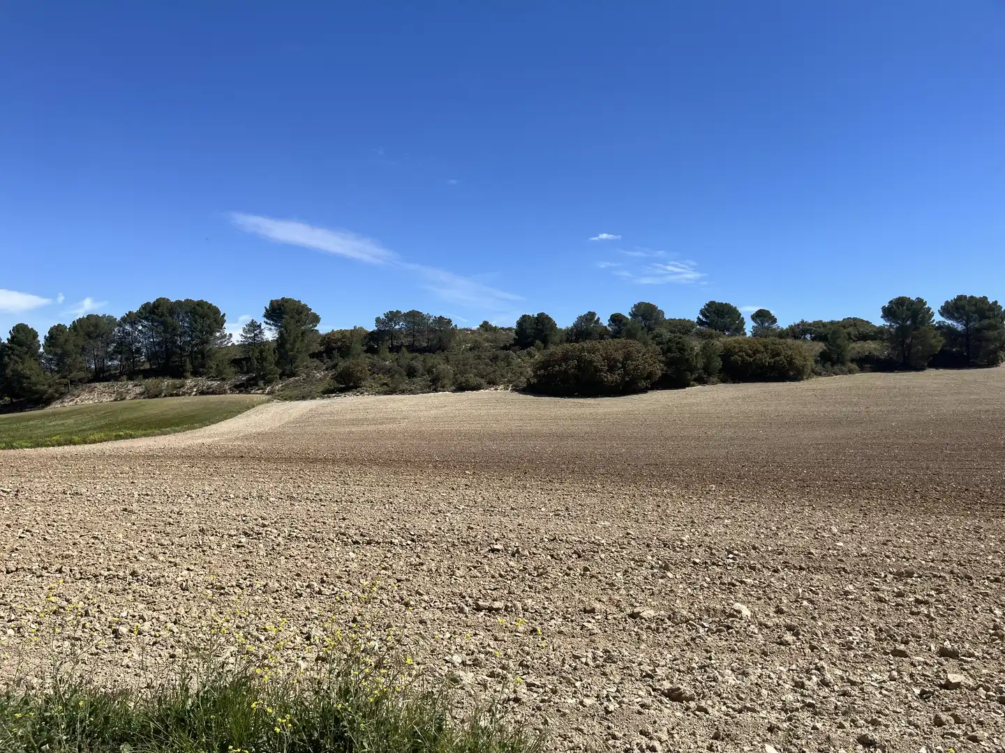 Rustikales Grundstück zum Verkauf in Avenida de Andalucía, imagen 9