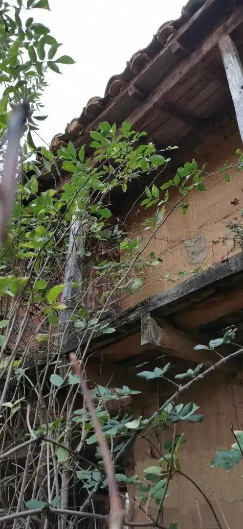 Vista exterior de Casa adosada en venta en Uña de Quintana