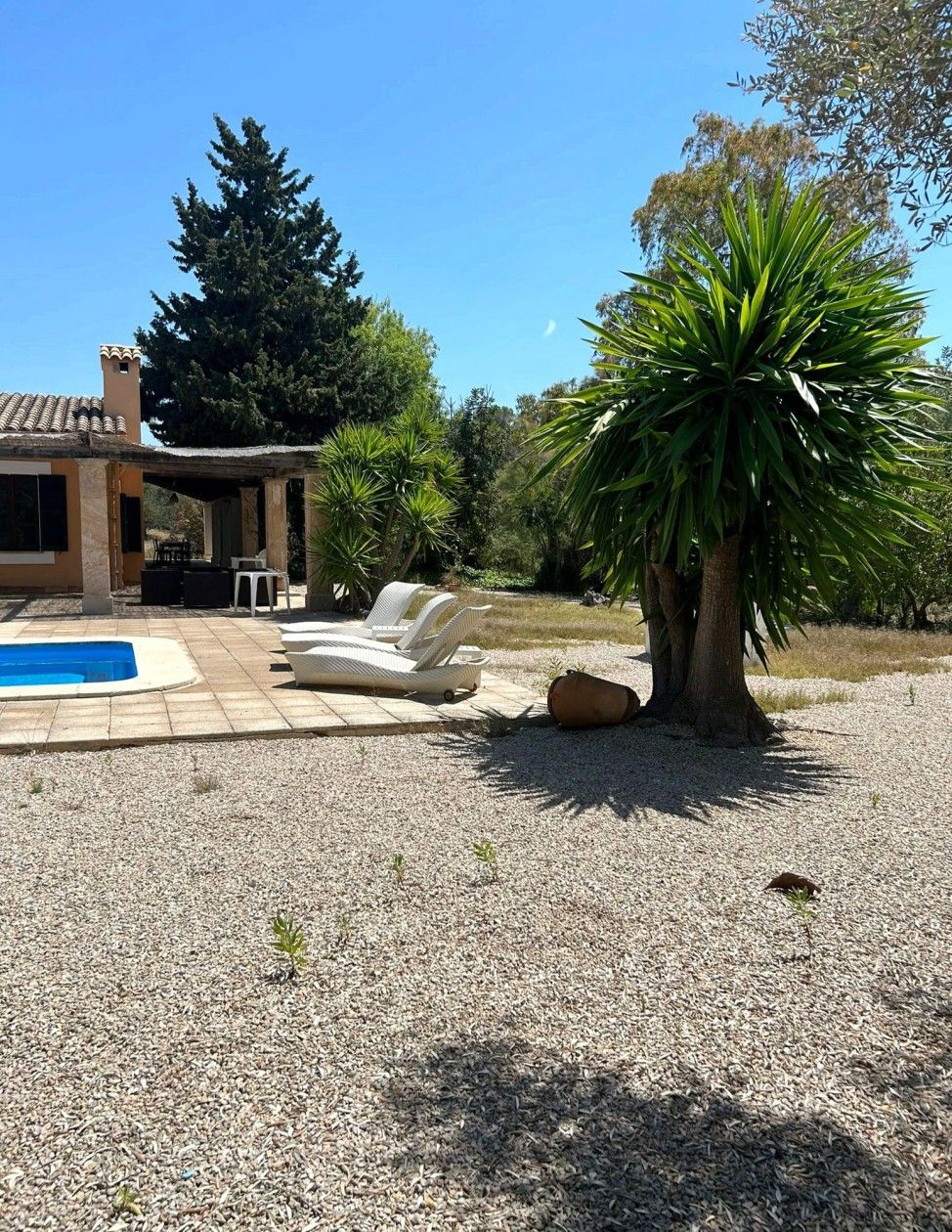 Jardín de Casa o chalet en venta en Calvià