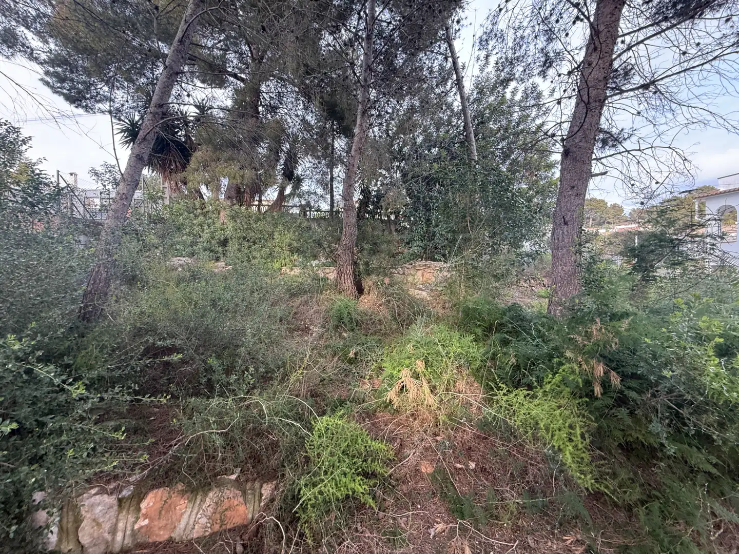 Terreny residencial en venda a Urbanizacion Poblamar 3131, imagen 10