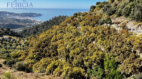 Foto 3 de Finca rústica en venta en El Rescate - Río Seco, Almuñécar