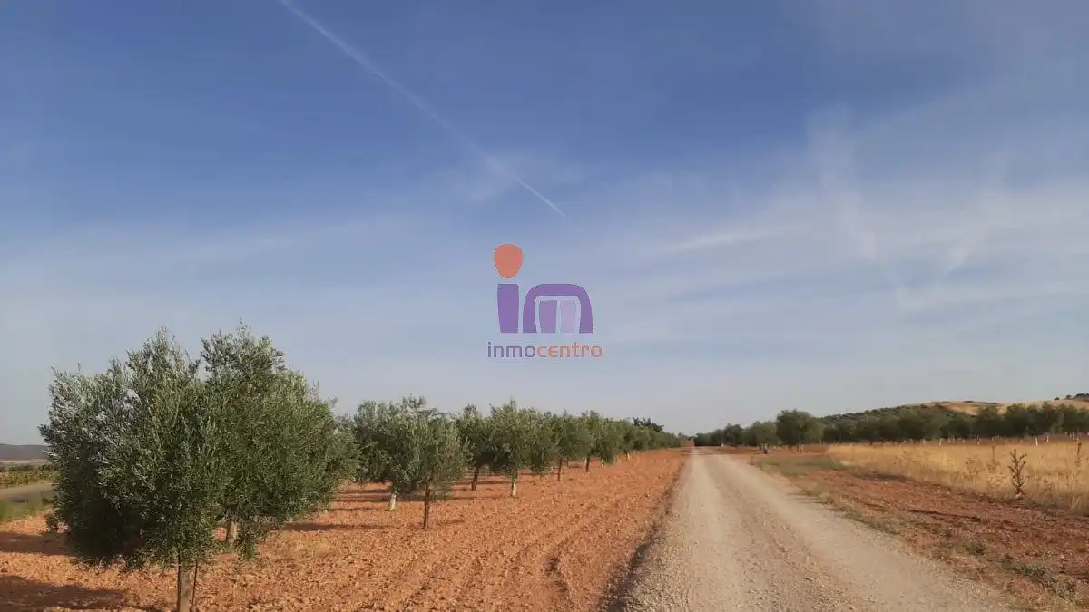 Casa rústica en venda a Valdepeñas, imagen 50