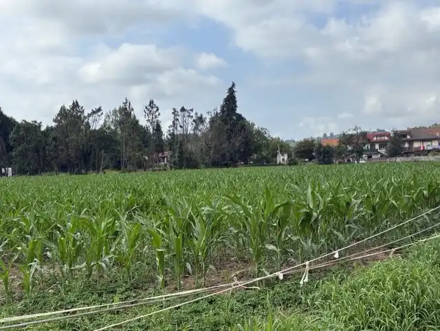 Terreni e lotti in vendita a Cabezón de la Sal, imagen 9