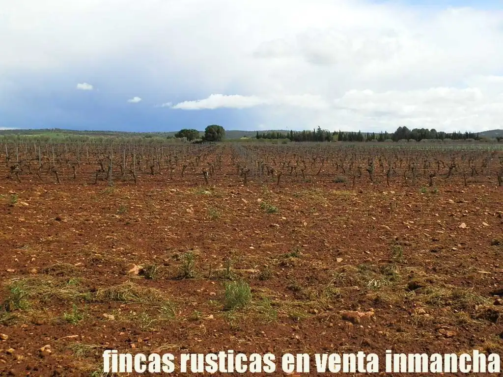 Terreno rustico in vendita a Pozuelo de Calatrava, imagen 10